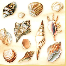  Szalvéta – Shells cream papírárú, csomagoló és tárolóeszköz