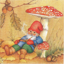  Szalvéta - törpe gombával papírárú, csomagoló és tárolóeszköz