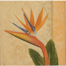  Szalvéta - Virág Papagájvirág dekorációs kellék