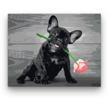 Számfestő Bulldog Rózsaszállal - számfestő készlet kreatív és készségfejlesztő