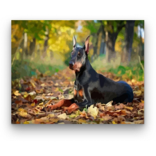 Számfestő Dobermann - számfestő készlet kreatív és készségfejlesztő