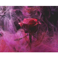 Számfestő Füstös Rózsa - vászonkép grafika, keretezett kép