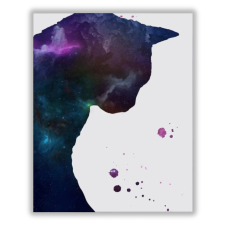 Számfestő Galaxis macskája - számfestő készlet kreatív és készségfejlesztő