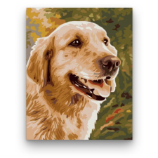 Számfestő Gyönyörű kutya - számfestő készlet kreatív és készségfejlesztő