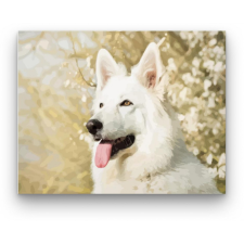 Számfestő Hófehér kutya - számfestő készlet kreatív és készségfejlesztő