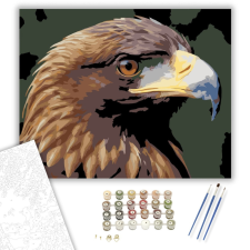 Számfestő.hu Aranysas Portré - számfestő készlet – 40×50 cm (Keretre feszítve) kreatív és készségfejlesztő