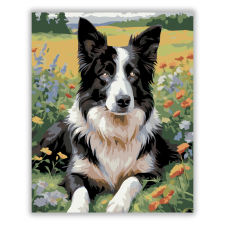 Számfestő.hu Border Collie Vadvirágos Mezőn - számfestő készlet kreatív és készségfejlesztő
