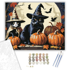 Számfestő.hu Boszorkányos Cicák - számfestő készlet – 40×50 cm (Keretre feszítve) kreatív és készségfejlesztő