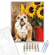 Számfestő.hu Bulldog - számfestő készlet – 40×50 cm (Keretre feszítve) kreatív és készségfejlesztő