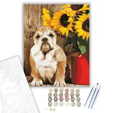 Számfestő.hu Bulldog - számfestő készlet – 50×60 cm (Keret nélkül) kreatív és készségfejlesztő