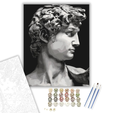 Számfestő.hu Dávid - számfestő készlet – 40×50 cm (Keretre feszítve) kreatív és készségfejlesztő