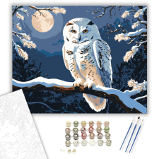 Számfestő.hu Éjjeli Bagoly Harmóniája - számfestő készlet – 40×50 cm (Keretre feszítve) kreatív és készségfejlesztő