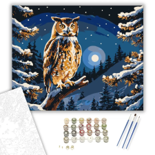 Számfestő.hu Éjszakai Bagoly Harmóniája - számfestő készlet – 80×100 cm (Keret nélkül) kreatív és készségfejlesztő