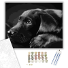 Számfestő.hu Fekete Labrador - számfestő készlet – 60×70 cm (Keretre feszítve)