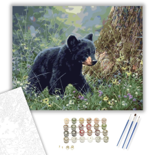 Számfestő.hu Felfedező medvebocs - számfestő készlet – 40×50 cm (Keretre feszítve) kreatív és készségfejlesztő