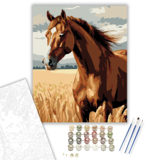 Számfestő.hu Gesztenyebarna Ló a Búzamezőn - számfestő készlet – 40×50 cm (Keretre feszítve) kreatív és készségfejlesztő