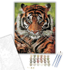 Számfestő.hu Gyönyörű tigris - számfestő készlet – 40×50 cm (Keretre feszítve)