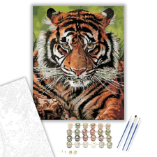 Számfestő.hu Gyönyörű tigris - számfestő készlet – 40×50 cm (Keretre feszítve) kreatív és készségfejlesztő