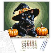 Számfestő.hu Halloweeni Macska Mágus - számfestő készlet – 40×50 cm (Keretre feszítve) kreatív és készségfejlesztő