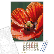 Számfestő.hu Harmatcseppes Pipacs Szirmok - számfestő készlet – 40×50 cm (Keretre feszítve) kreatív és készségfejlesztő