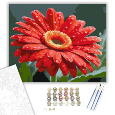 Számfestő.hu Harmatcseppes Vörös Gerbera - számfestő készlet – 60×70 cm (Keret nélkül) kreatív és készségfejlesztő