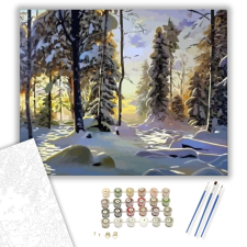 Számfestő.hu Havas táj - számfestő készlet – 40×50 cm (Keretre feszítve) kreatív és készségfejlesztő