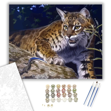 Számfestő.hu Hiúz - számfestő készlet – 40×50 cm (Keretre feszítve) kreatív és készségfejlesztő