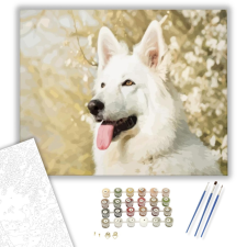 Számfestő.hu Hófehér kutya - számfestő készlet – 40×50 cm (Keretre feszítve) kreatív és készségfejlesztő
