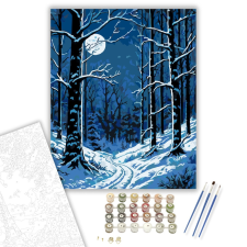 Számfestő.hu Holdfényes Havas Erdő - számfestő készlet – 40×50 cm (Keretre feszítve) kreatív és készségfejlesztő
