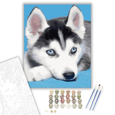 Számfestő.hu Husky kölyök - számfestő készlet – 40×50 cm (Keretre feszítve) kreatív és készségfejlesztő