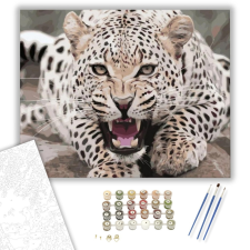 Számfestő.hu Jaguár - számfestő készlet – 40×50 cm (Keretre feszítve) kreatív és készségfejlesztő