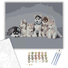 Számfestő.hu Játszótársak - számfestő készlet – 40×50 cm (Keretre feszítve) kreatív és készségfejlesztő