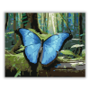 Számfestő.hu Kék Morpho Pillangó Erdőben - számfestő készlet
