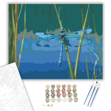 Számfestő.hu Kék Szitakötő a Nádban - számfestő készlet – 40×50 cm (Keretre feszítve) kreatív és készségfejlesztő