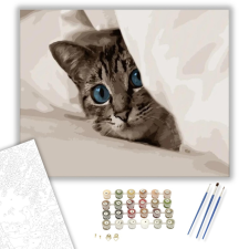 Számfestő.hu Kiscica a takaró alatt - számfestő készlet – 40×50 cm (Keretre feszítve) kreatív és készségfejlesztő