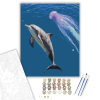 Számfestő.hu Kíváncsi Delfin - számfestő készlet – 40×50 cm (Keretre feszítve)