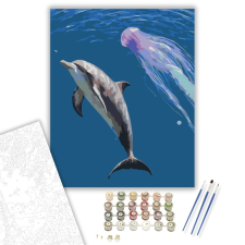Számfestő.hu Kíváncsi Delfin - számfestő készlet – 40×50 cm (Keretre feszítve) kreatív és készségfejlesztő