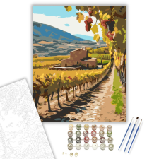 Számfestő.hu La Rioja Őszi Szőlőskert - számfestő készlet – 40×50 cm (Keretre feszítve) kreatív és készségfejlesztő