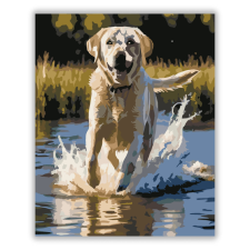 Számfestő.hu Labrador Retriever a Tóban - számfestő készlet kreatív és készségfejlesztő