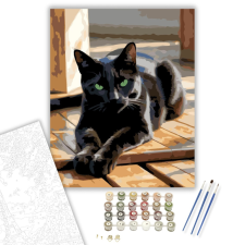 Számfestő.hu Lustán Nyújtózkodó Fekete Macska - számfestő készlet – 40×50 cm (Keretre feszítve) kreatív és készségfejlesztő