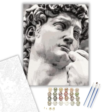 Számfestő.hu Michelangelo - számfestő készlet – 40×50 cm (Keretre feszítve) kreatív és készségfejlesztő