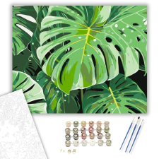Számfestő.hu Monstera és Banánlevelek - számfestő készlet – 40×50 cm (Keretre feszítve) kreatív és készségfejlesztő