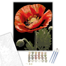 Számfestő.hu Napfényben Fürdő Piros Pipacs - számfestő készlet – 40×50 cm (Keretre feszítve) kreatív és készségfejlesztő