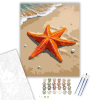 Számfestő.hu Napfényes Tengeri Csillag a Parton - számfestő készlet – 40×50 cm (Keretre feszítve)