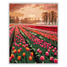 Számfestő.hu Napkelte a Tulipánmező Felett - számfestő készlet kreatív és készségfejlesztő