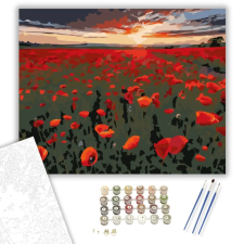 Számfestő.hu Naplemente Pipacsmező - számfestő készlet – 50×60 cm (Keretre feszítve) kreatív és készségfejlesztő