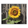 Számfestő.hu Napraforgó a Kerítés Mellett - számfestő készlet