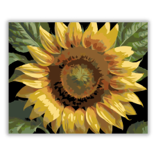 Számfestő.hu Napraforgó Részlet - számfestő készlet – 40×50 cm (Keretre feszítve) kreatív és készségfejlesztő