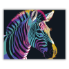 Számfestő.hu Neon Színátmenetek Zebra Portré - számfestő készlet