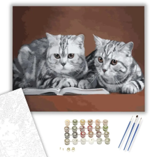 Számfestő.hu Olvasó cicák - számfestő készlet – 60×70 cm (Keret nélkül) kreatív és készségfejlesztő
